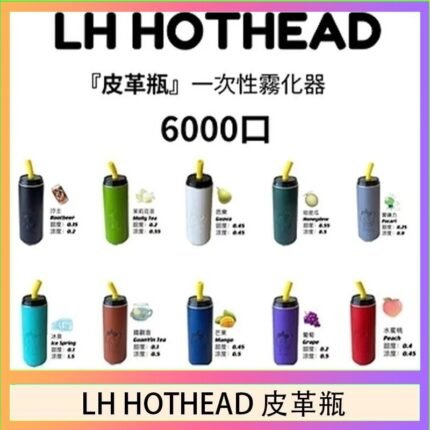 LH HOTHEAD皮革瓶電子煙可充電6000口一次性